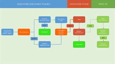 Current understanding of the molecular mechanisms of circulating permeability factor in focal segmental glomerulosclerosis
